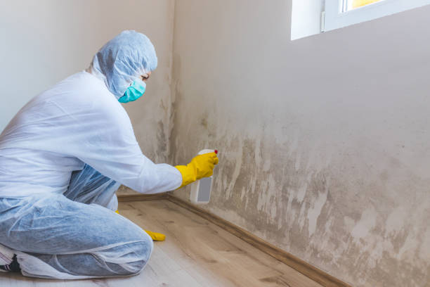 Hvac And Air Duct Mold Remediation inspection of HVAC system in Ayden